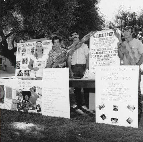 Everything But An Audience - Tempe Daily News,    November 4, 1977
