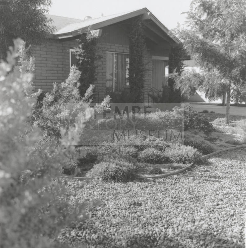 Yard Of The Month - Tempe Daily News - November 9, 1977