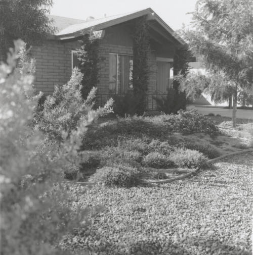 Yard Of The Month - Tempe Daily News - November 9, 1977