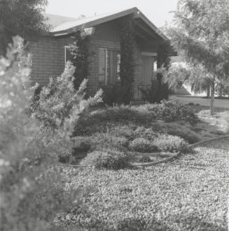 Yard Of The Month - Tempe Daily News - November 9, 1977