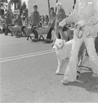 Lions and Lambs - Tempe Daily News - November 12, 1977 (1 of 3)