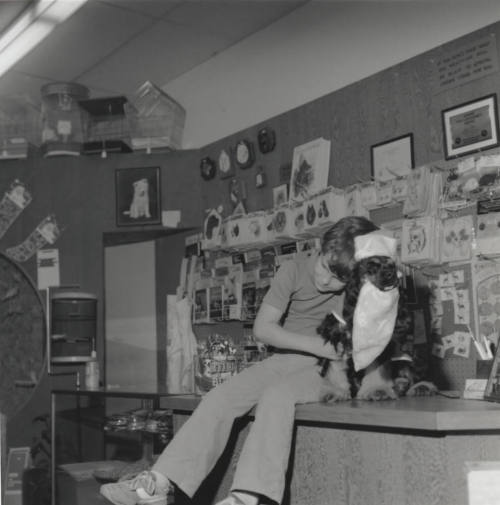 A Dog Gone Santa Outfit - Tempe Daily News - December 12, 1977
