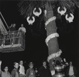 The 'Halls; Are Decked. - Tempe Daily News, December 6 1977
