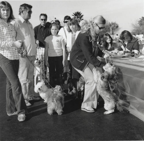The Humiliation Of It All!. - Tempe Daily News, December 5 1977