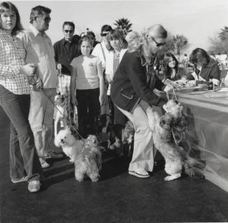 The Humiliation Of It All!. - Tempe Daily News, December 5 1977