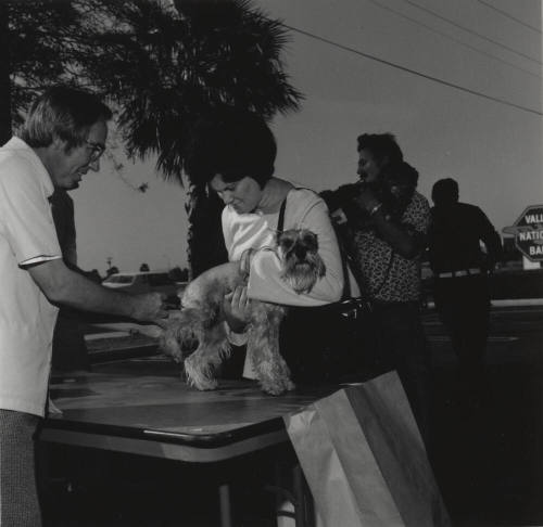 The Humiliation Of It All!. - Tempe Daily News, December 5 1977