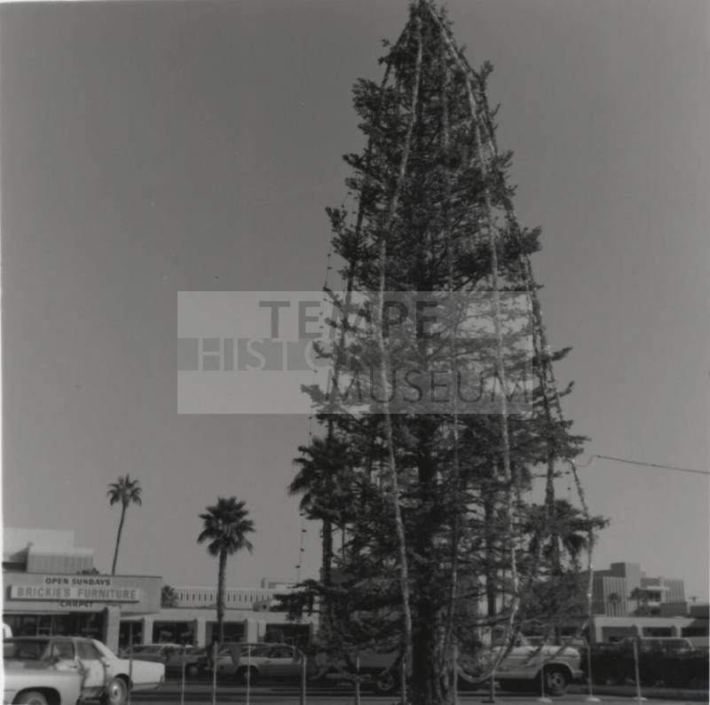 How High? - Tempe Daily News, December 9 1977
