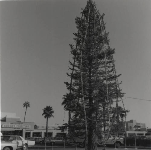 How High? - Tempe Daily News, December 9 1977
