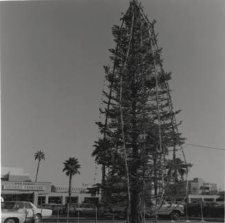 How High? - Tempe Daily News, December 9 1977