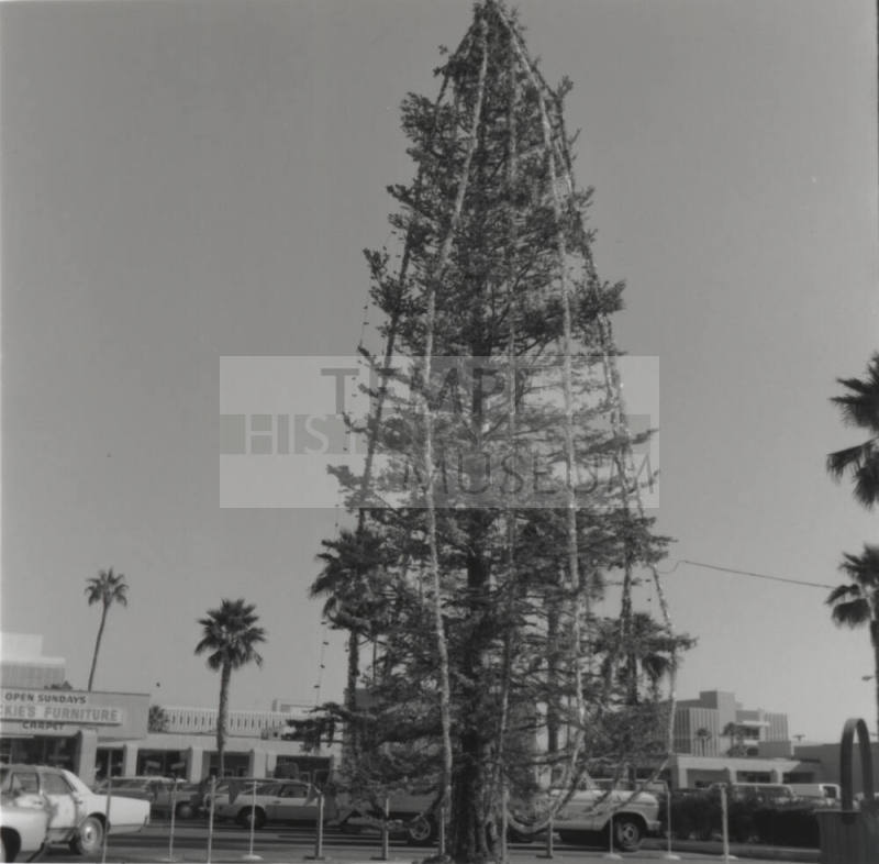 How High? - Tempe Daily News, December 9 1977
