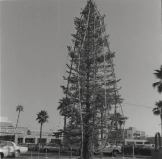 How High? - Tempe Daily News, December 9 1977