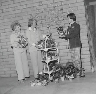 Sharing The Green - Tempe Daily News 1/16/1978