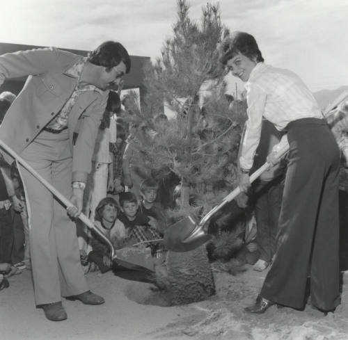 At Last-A Tree! - Tempe Daily News 12/17/1977