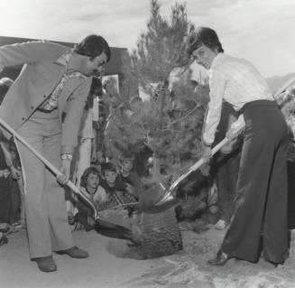 At Last-A Tree! - Tempe Daily News 12/17/1977
