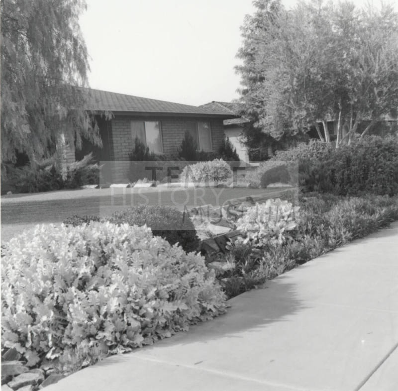 Garden Club Winner, Tempe Daily News, Jan 1978
