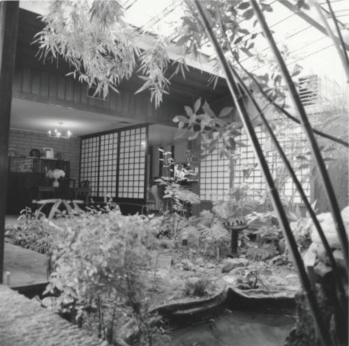 Inside Or Outside - Tempe Daily News - January 1978