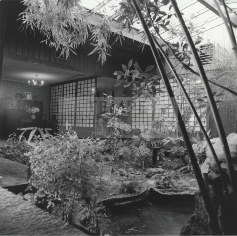 Indoor Garden - Tempe Daily News January 1978
