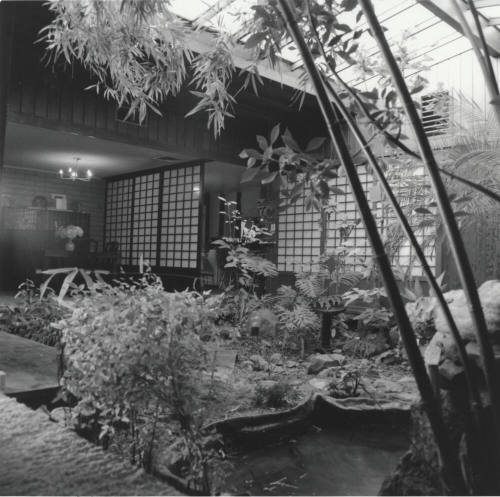 Indoor Garden - Tempe Daily News January 1978