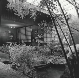 Indoor Garden - Tempe Daily News January 1978