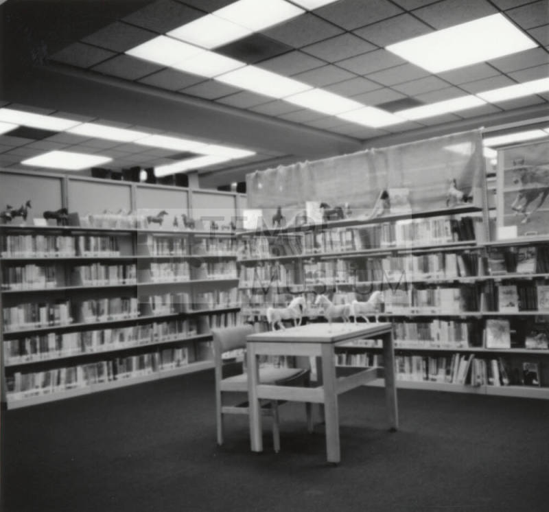 Library display. - Tempe Daily News, Febuary 16 1978