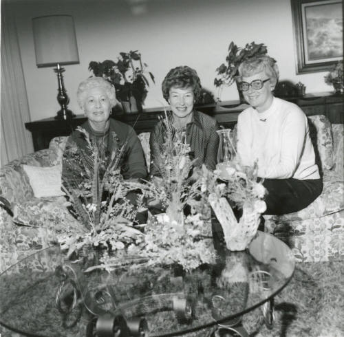 'And These Will Go On The Tables' - Tempe Daily News - February 14, 1978 - (2 of  3)