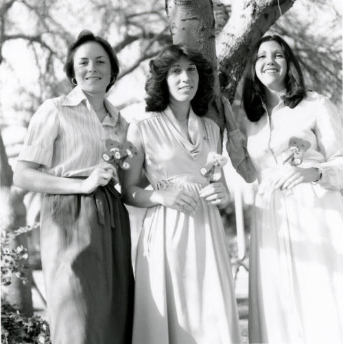 Holding Hearts - Tempe Daily News - February 20, 1978