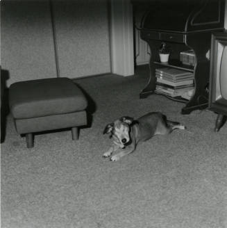 Overcoming A Handicap, Tempe Daily News, March 6, 1978