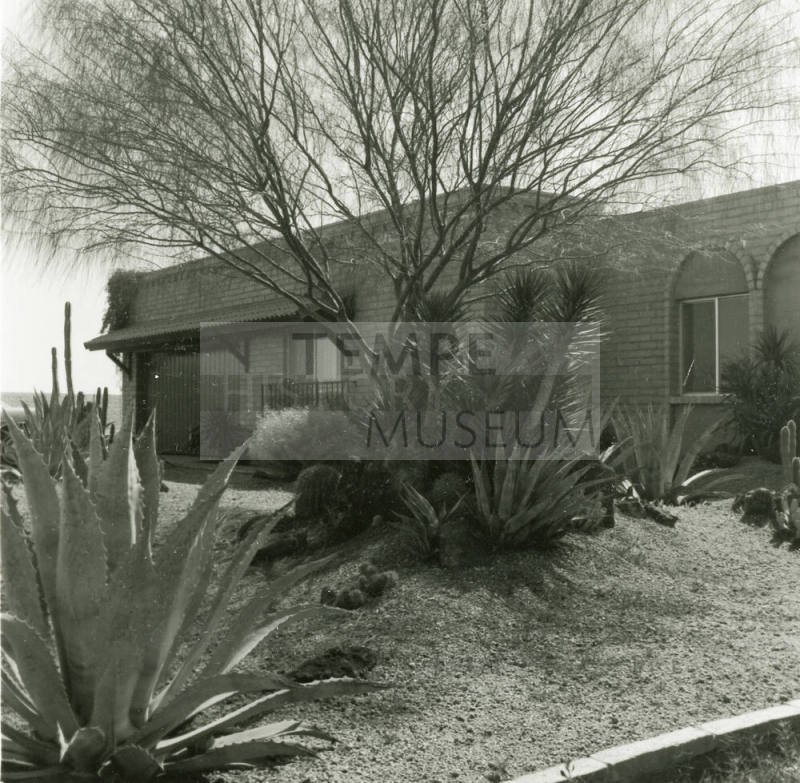 Desert Landscaping - Tempe Daily News - March 11, 1978