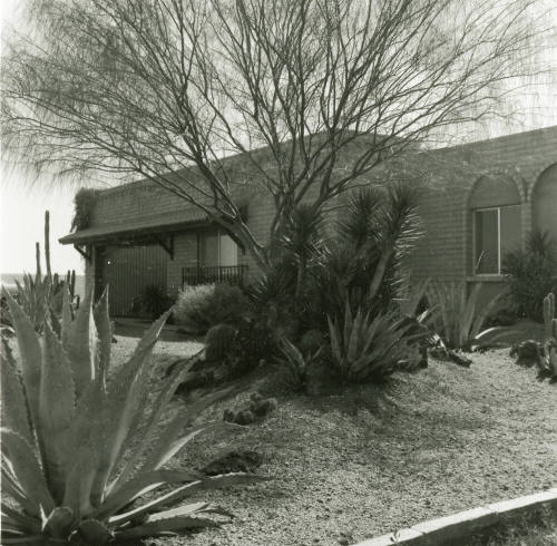 Desert Landscaping - Tempe Daily News - March 11, 1978