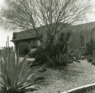 Desert Landscaping - Tempe Daily News - March 11, 1978