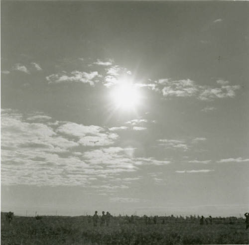 Unidentified Landscape Photograph
