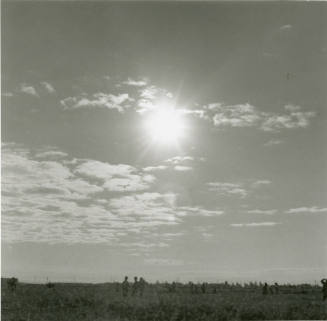Unidentified Landscape Photograph