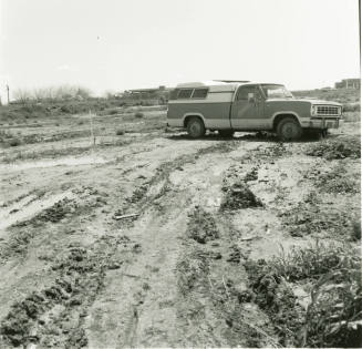 Just Like Old Times - Tempe Daily News - March 15, 1978