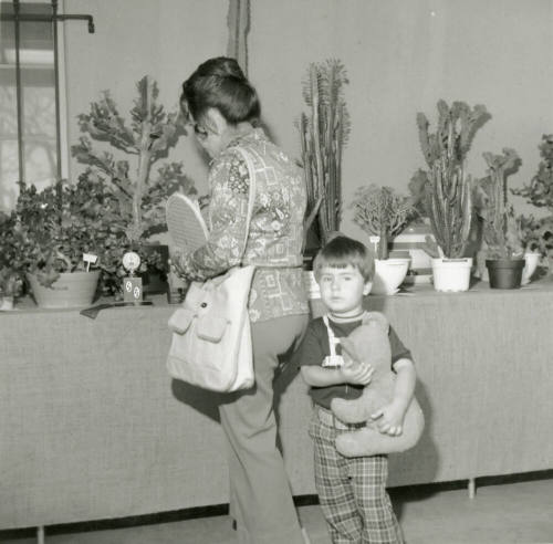 Cactus Show Opens - Tempe Daily News - March 16, 1978 - (2 of 3)