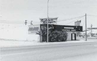 The Golden Dragon Chinese Restaurant - 3300 South Mill Avenue, Tempe, Arizona