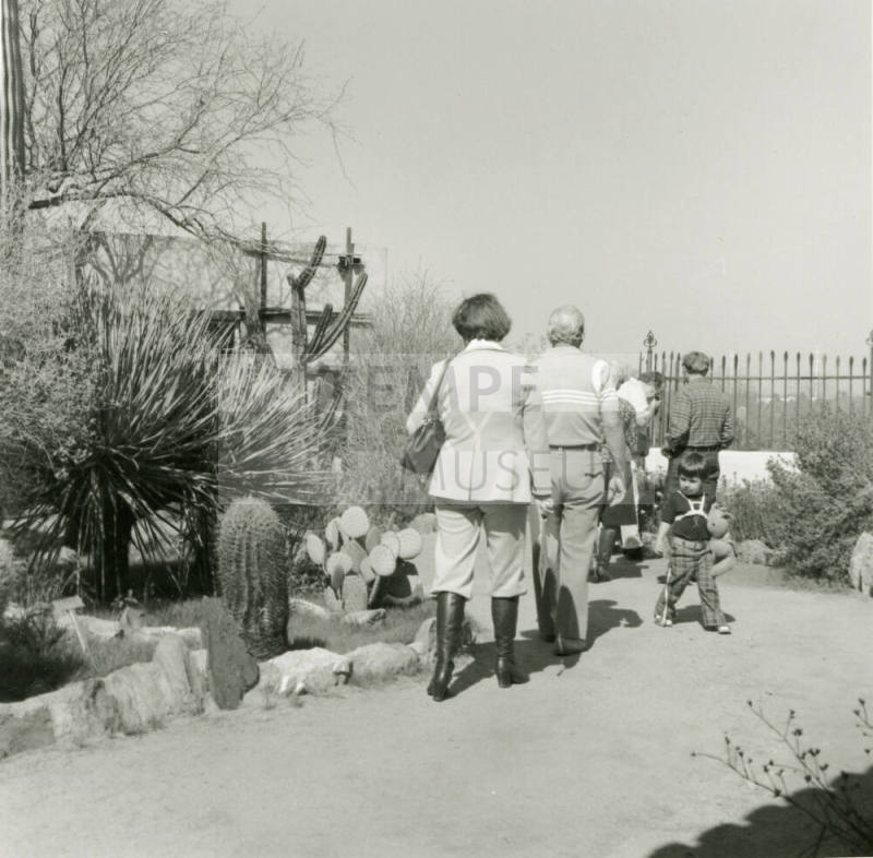 Cactus Show Opens - Tempe Daily News - March 16, 1978 - (3 of 3)