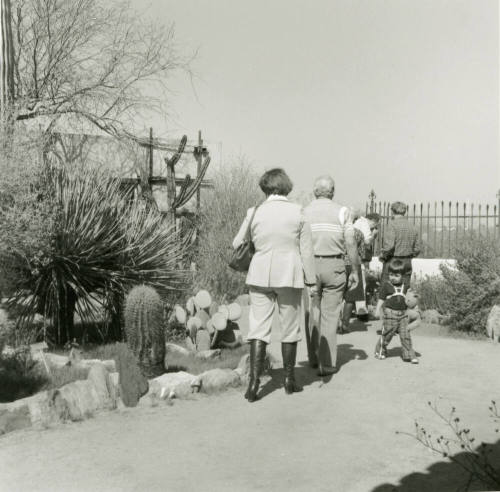Cactus Show Opens - Tempe Daily News - March 16, 1978 - (3 of 3)