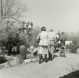 Cactus Show Opens - Tempe Daily News - March 16, 1978 - (3 of 3)
