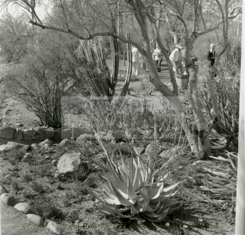 Attracting Thousands - Tempe Daily News - March 16, 1978 - (1 of 2)