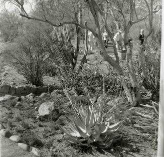Attracting Thousands - Tempe Daily News - March 16, 1978 - (1 of 2)