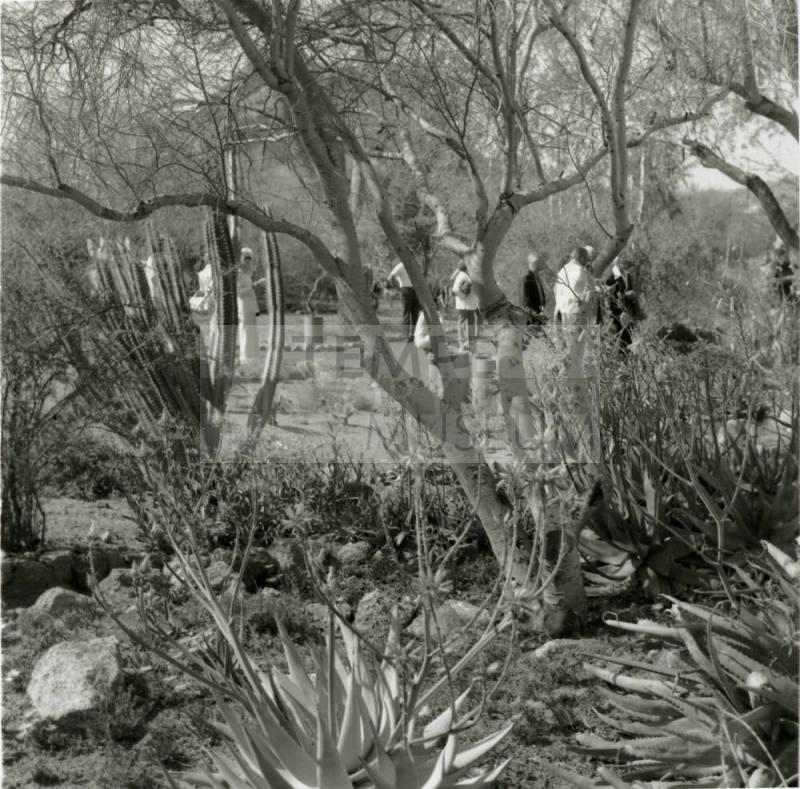 Attracting Thousands - Tempe Daily News - March 16, 1978 - (2 of 2)