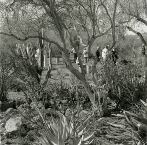 Attracting Thousands - Tempe Daily News - March 16, 1978 - (2 of 2)