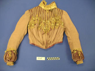 Shirtwaist