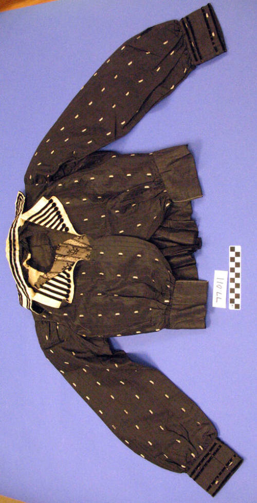 Shirtwaist