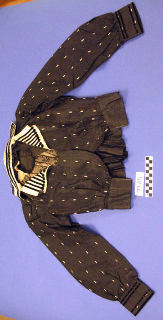 Shirtwaist
