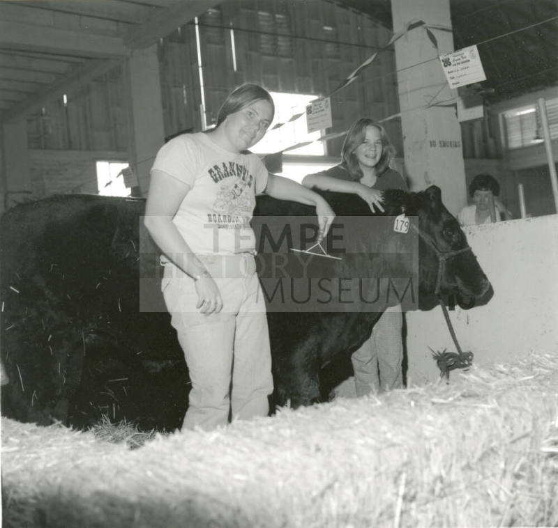 Grooming 'Black Bart' -- Tempe Daily News, March 30, 1978