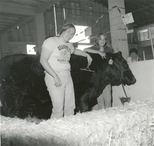 Grooming 'Black Bart' -- Tempe Daily News, March 30, 1978
