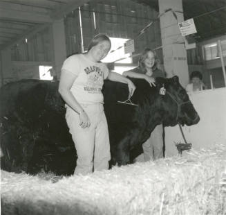 Grooming 'Black Bart' -- Tempe Daily News, March 30, 1978