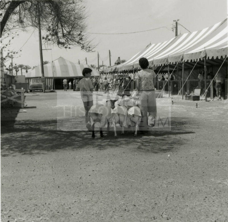 Strolling Along -- Tempe Daily News, March 30, 1978