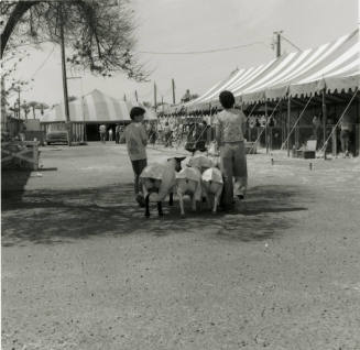 Strolling Along -- Tempe Daily News, March 30, 1978
